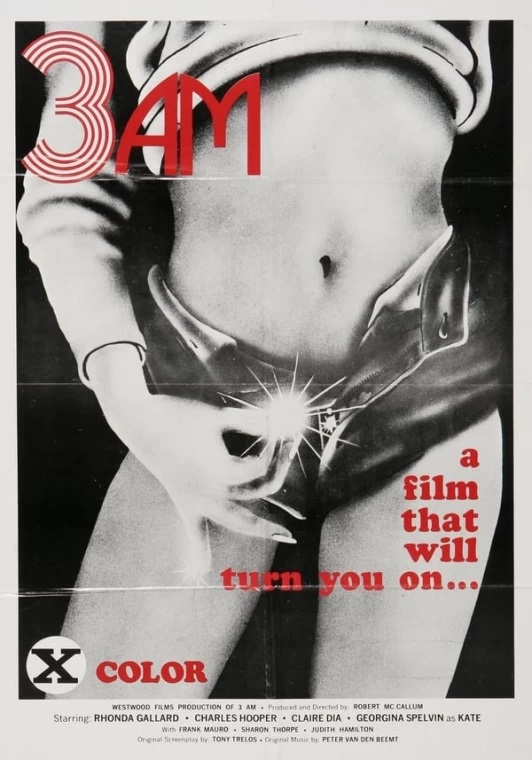 Poster of 3 A.M.